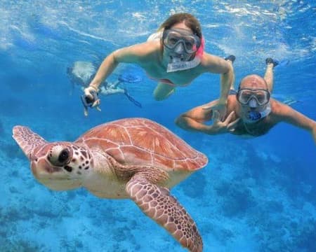 Daymaniyat Island Snorkeling Trip Half-Day