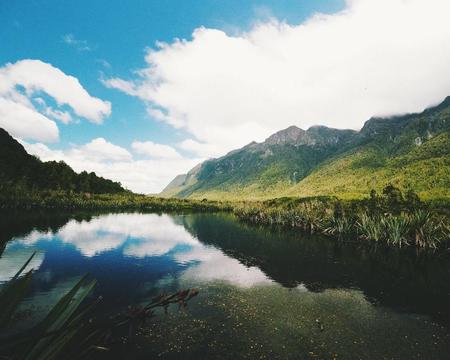 Milford Sound Scenic Tour & Cruise - Ex Queenstown (7:30am - Standard Van)