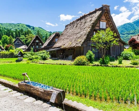 Full Day Tour to Shirakawa Go and Takayama with English Speaking Driver (Private)
