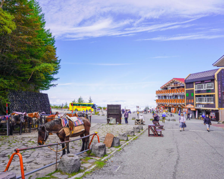 Mt. Fuji Full Day Tour from Tokyo with Car & Guide (Private )