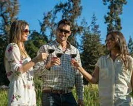 Tour del Vino concha y Toro