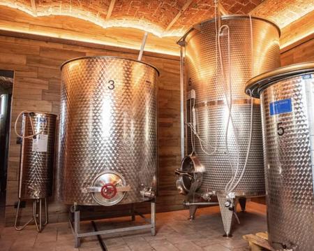 DEGUSTAZIONE DI VINI PRESSO LA CANTINA DELLERBA CON VISTA SUL MONVISO