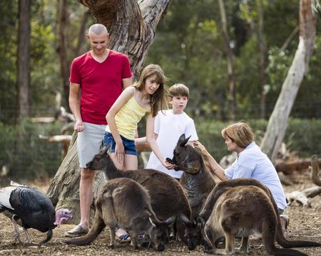 One Day Kangaroo Island Experience Full Day (Small Group Tour) - ex Adelaide