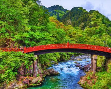 Ganztägige Nikko Tour ab Tokio mit mehrsprachigem Guide (öffentliche Verkehrsmittel)