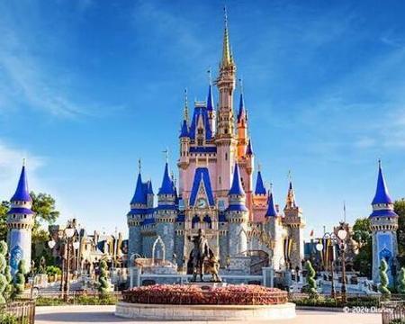 Magic Kingdom Theme Park Ticket