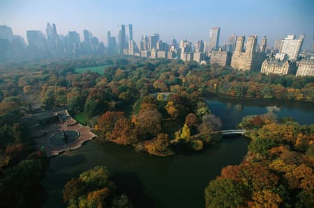 Upper and Lower Manhattan Tour in Spanish