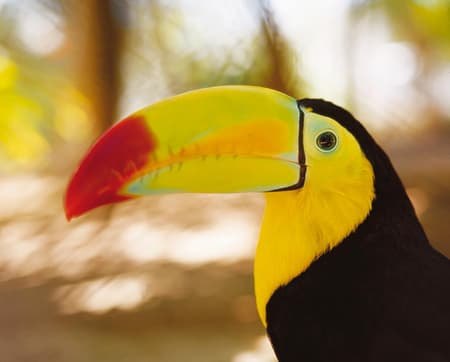 Tour a Xcaret de Día Completo con Recogida