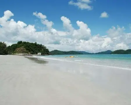 Exploring Langkawi Mangrove Tour By Boat with return transfer (Private)