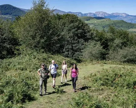 Ruta guiada: hayedo de la Boheriza (Karrantza)