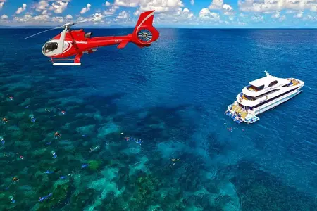 Reefcruise van een hele dag en een panoramische helikoptervlucht van 10 minuten