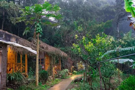 Avventura di trekking di 3 giorni di Sapa da Hanoi - Stay Ta Van Village