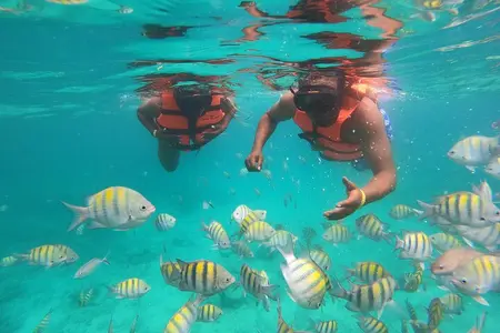 Half-Day Snorkeling Cruise and Natural Pool with Open Bar
