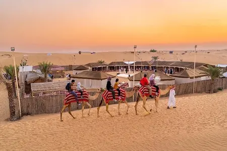 Dune Bashing With Camal Ride