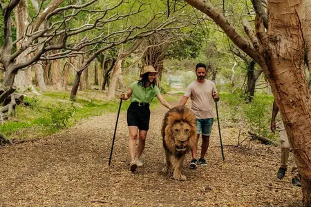 Casela Nature Park and Flic en Flac Beach Private Tour 