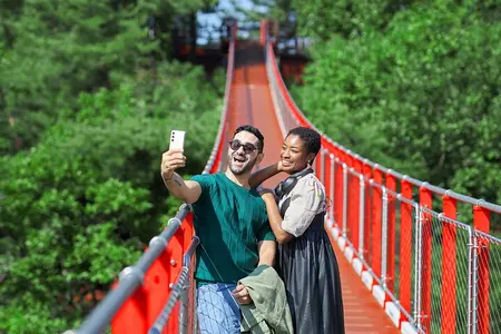 Best DMZ Tour Korea from Seoul (Red Suspension Bridge Optional)