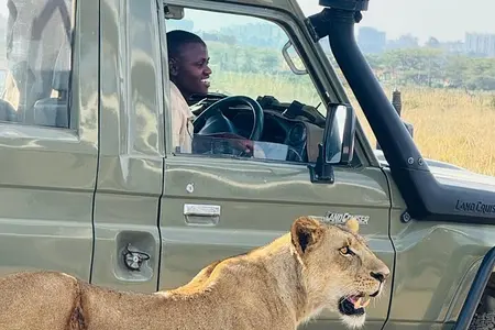 Nairobi National Park Half-Day Game Drive Guided Tour