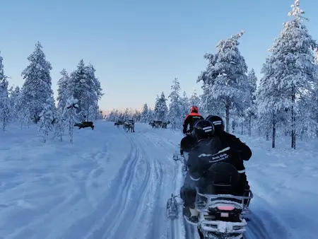 Husky- en rendiersafari met sneeuwscooter - Tour  