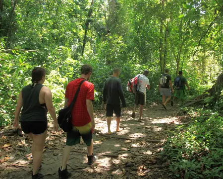 Cahuita Nationalpark Wanderung