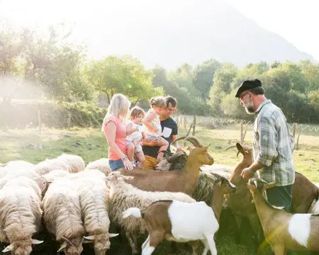 Shepherd for a day