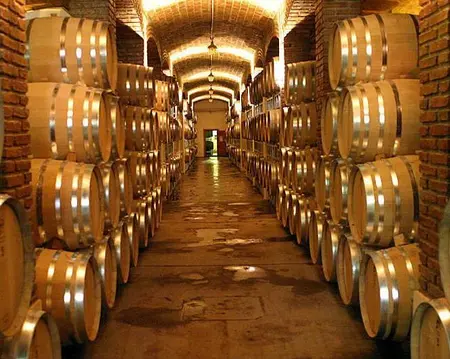 BODEGAS Y ACEITERAS PM