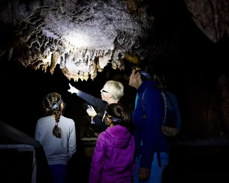 El mundo del txakoli: Bodega DeBringas y cueva de Pozalagua (a oscuras)