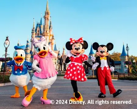 Ticket Un Parque Por Día para Walt Disney World Resort (Básico) 