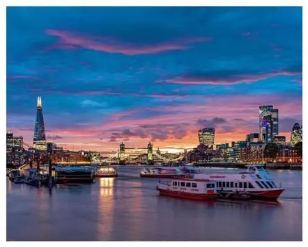 Tootbus- hop-on hop-off bus & river cruise Must-See London- 1DAY