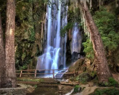 CASCADITAS CON TRANSPORTACIÓN (CVU)