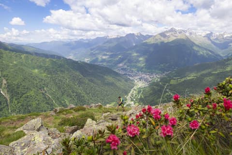 Hotel Negritella, Miscellaneous