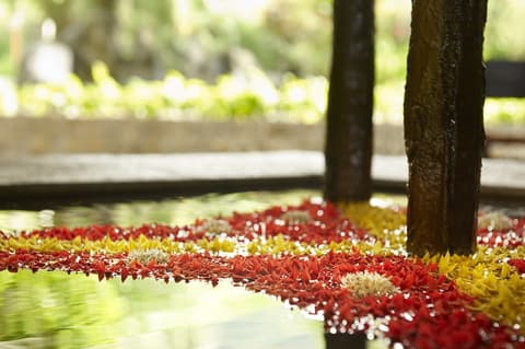 LE MÉRIDIEN FISHERMAN'S COVE, 