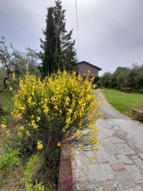 Agriturismo Campo Contile, 