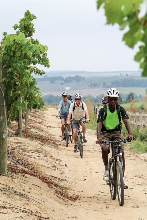 Bikes 'n Wines CC - Stellenbosch Winelands Luxury EBike Tour