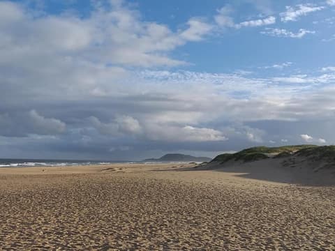 TISD 01: Wildlife Discovery 2025 (English)