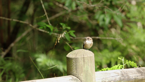 Stormsriver Adventures - Plaatbos Nature Hike Route 3 - Per Person - Min 2