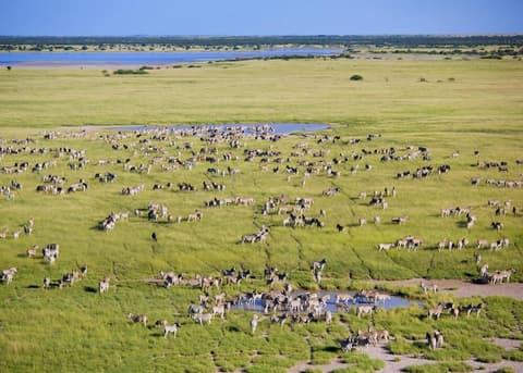 Migration Mission Day Trip (Dep: 06h00)