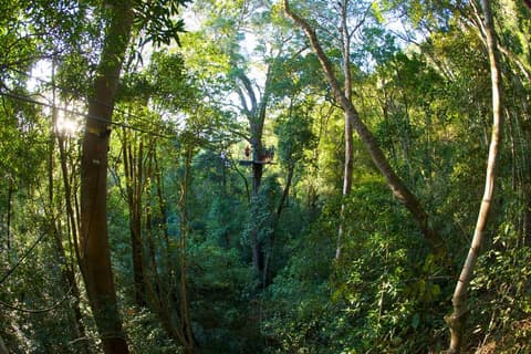 Stormsriver Adventures - Tsitsikamma Canopy Tour - Per Person