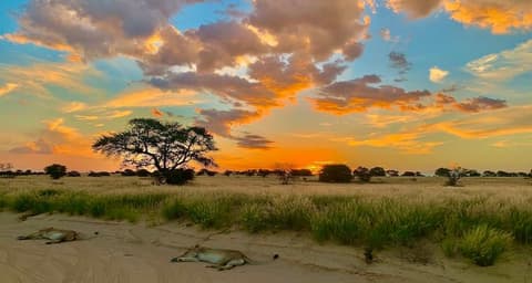 Bush Ways Safaris - Kalahari safari BWK 6 Nights - Full Board and Activities - EUR