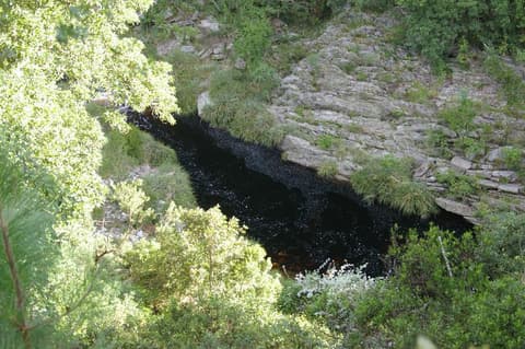 Stormsriver Adventures - Plaatbos Nature Hike Route 3 - Per Person - Min 2