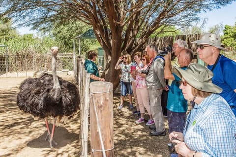 TISD 11: Drakensberg and Garden Route Highlights 2025 (English)