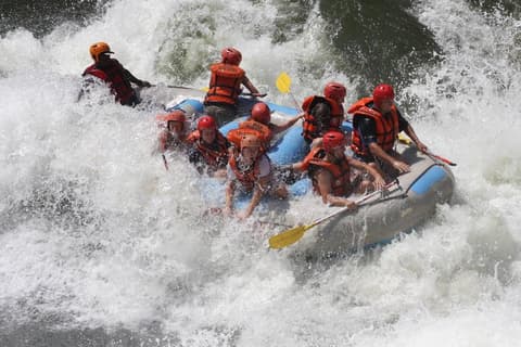 Wild Horizons: White Water Rafting - High Water  - Per Person - USD