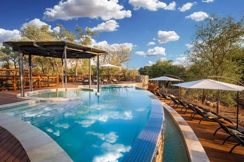 TISD 01: Wildlife Discovery 2025 (English)