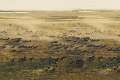 Migration Mission Day Trip (Dep: 06h00)