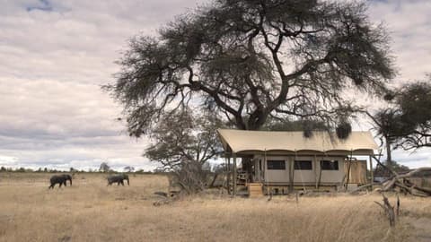 Heritage Of Zimbabwe - 6 Nights