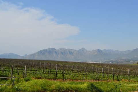 Bikes 'n Wines CC - Stellenbosch Family Tour