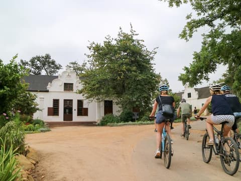 Bikes 'n Wines CC - Stellenbosch Vineyard Meander