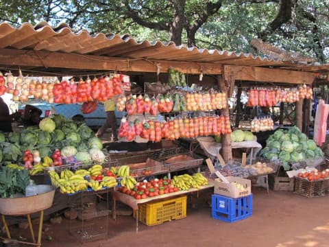 Wild Horizons: Chinotimba Township Tour - 2 Hours