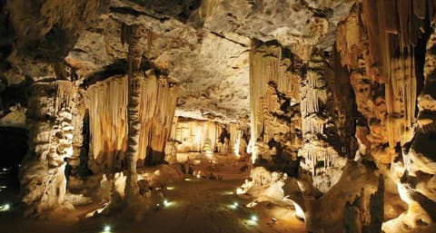 Private TIRS: Best of South Africa 2025