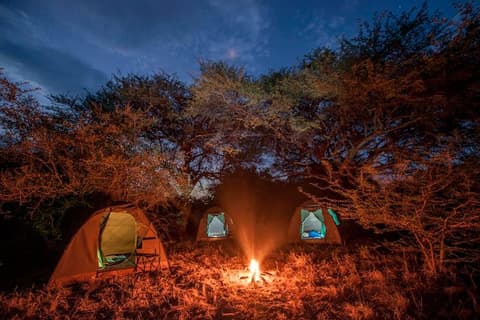 Bush Ways Safaris - Kalahari safari BWK 6 Nights - Full Board and Activities - EUR