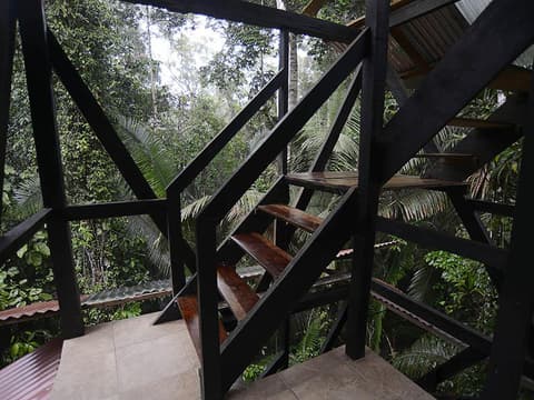 Cuyabeno Amazon Eco-Lodge Adventure 6D/5N