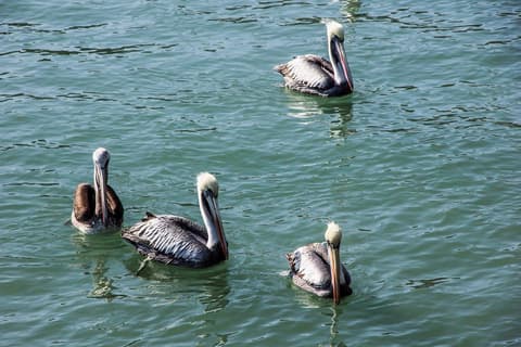 Paraíso del Norte, escapada corta